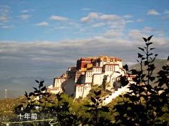 -平措康桑·和牛自助观景餐厅(布达拉宫店)
