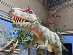 -国家自然博物馆