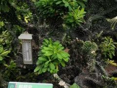 iphone_upload_pic-石家庄市植物园
