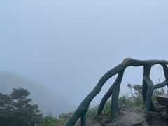 -梧桐山风景名胜区