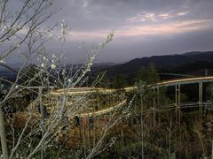 -盈香心动乐园