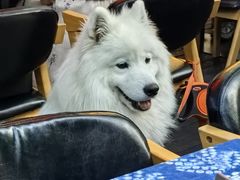 -滇道云南特色料理(康定路店)