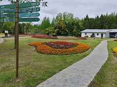 -东平国家森林公园