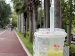 -南宁南湖公园