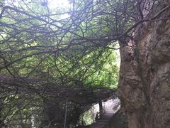 -雁荡山三折瀑景区