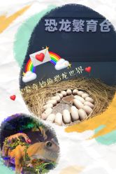 -恐龙探索乐园(磁器口店)
