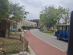 -上海长兴岛郊野公园