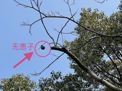 -黄兴公园