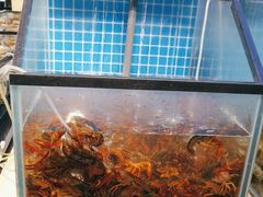 -海天盛宴潮汕蒸汽海鲜高端自助形象店