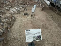 -南越王博物院(王宫展区)