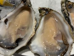 -Oyster Talks 四度蚝法餐厅