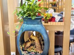 -臻品汇-镇江菜-河豚(大润发店)