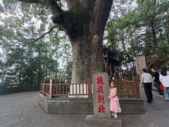 -安溪清水岩