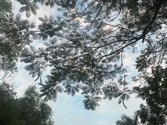 -鹿回头风景区