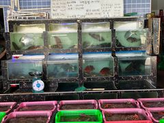 -众味海鲜大排档·活海鲜·潮汕味(南澳店)