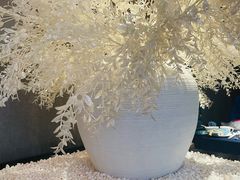 -荷栖小院·品质江西菜(红谷滩店)