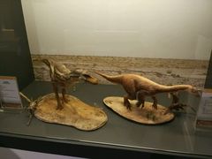 -香港科学馆
