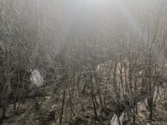 -雁门关景区