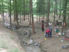 -白水寺森林公园