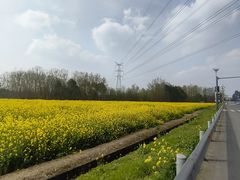 -桤木河湿地公园