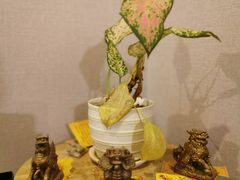-金陵暴走小龙虾·迷踪蟹(凯德MALL店)