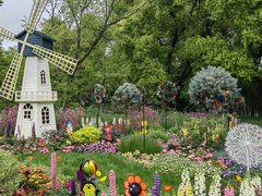 -上海共青森林公园