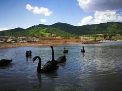 -南宫温泉水世界