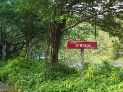 -李小龙乐园(顺德均安店)