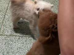 -湖南湘绣博物馆