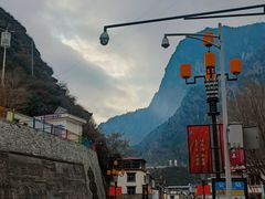 -金鼎雪山牦牛杂火锅(理县总店)