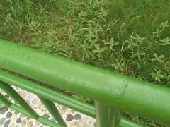 -众神白水涧景区