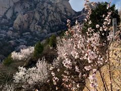 -北京凤凰岭