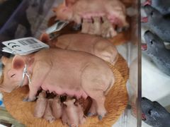 -TOYSRUS玩具反斗城(成都环球中心店)