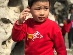 -百年尹氏汤包(湖南路狮子桥店)