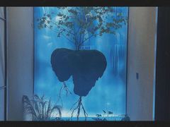 -宫七SPA·高端Massage(浦东大道店)