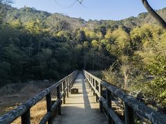-宝界山林公园