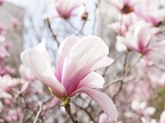 -九里河湿地公园
