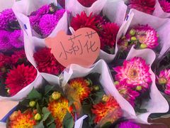 -朝来春花卉市场
