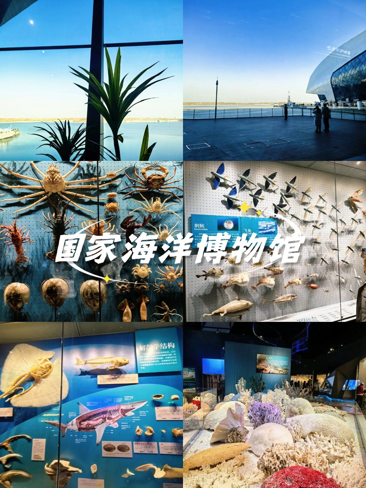 分ab两个馆
每个馆又都有很多展厅
海洋动物的标本很多
光是虾