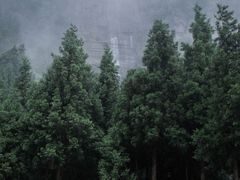 -重庆睡佛山森林公园