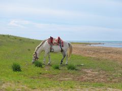 -青海湖国家重点风景名胜区