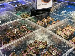 -盒马X会员店(上海森兰商都店)