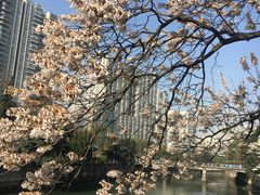 -成都市活水公园