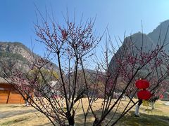 -十九峰景区