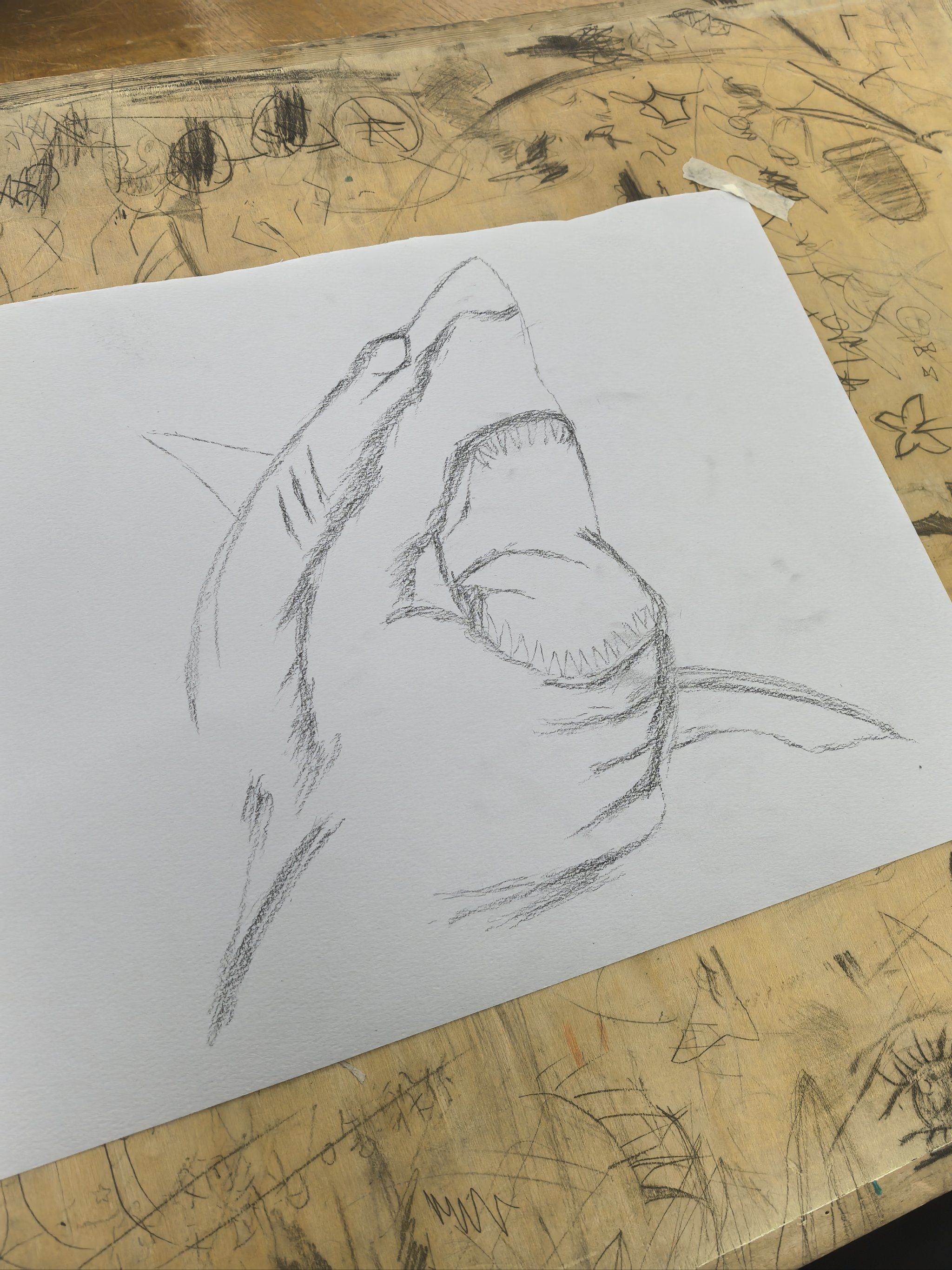 0元玩转这座城随便画个鲨鱼