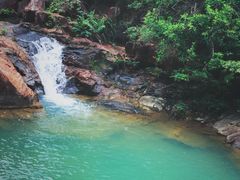 -广州白江湖森林公园