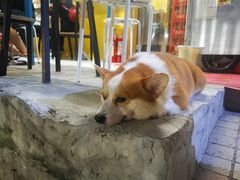 -小梁哥云吞面(黄贝岭店)