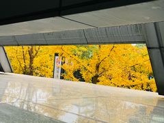 -杭州九堡客运中心