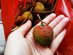 挂绿荔枝-竹语饭香·原生态农庄·烧鸡·竹筒饭·河鲜(森林海白水寨店)