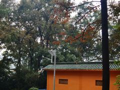 -南华禅寺